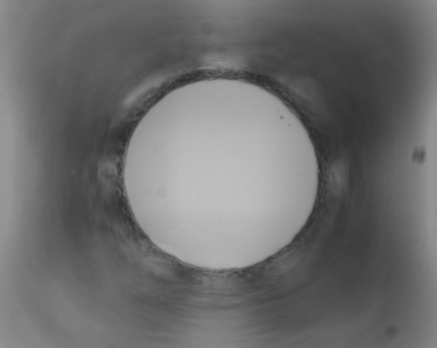 X0000110731254200907022102