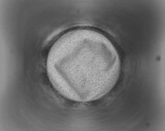 X0000110731255200907022102