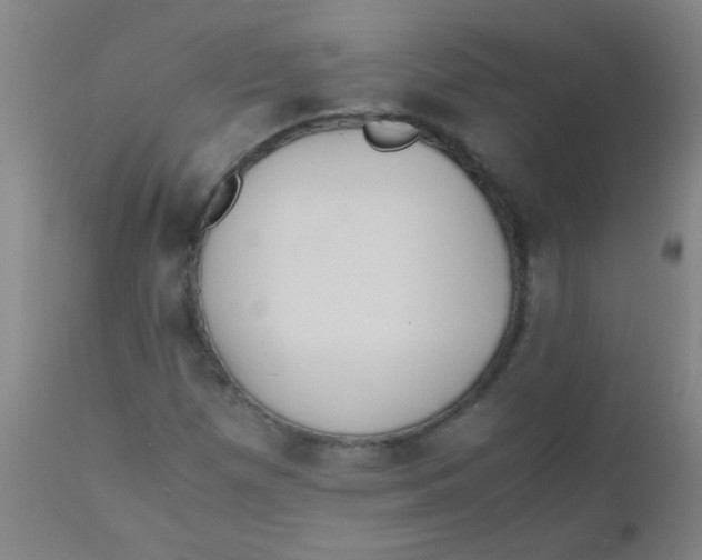 X0000110731257200907022102