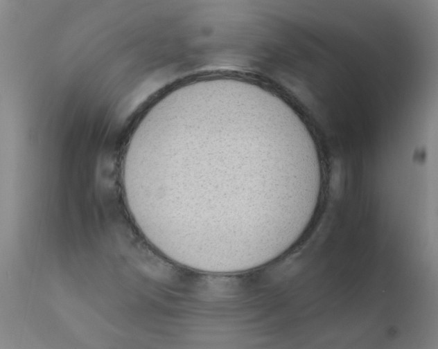 X0000110731258200907022102