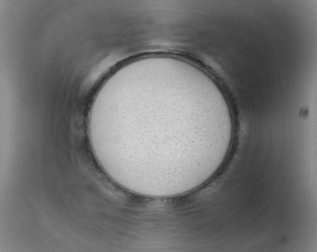 X0000110731259200907022102