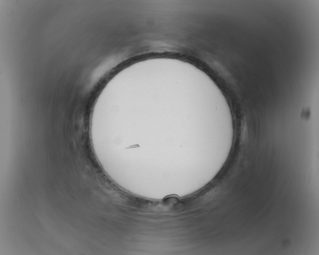 X0000110731261200907022102