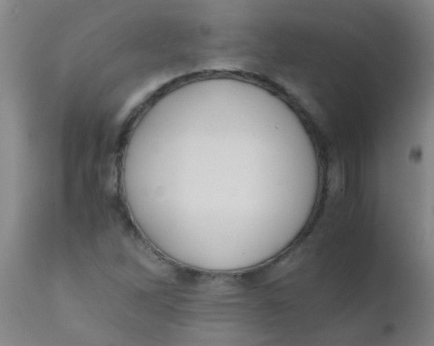 X0000110731262200907022102