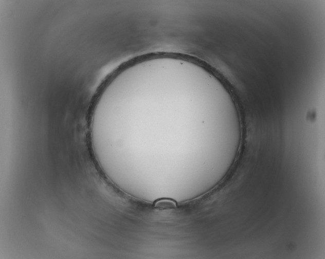 X0000110731264200907022101