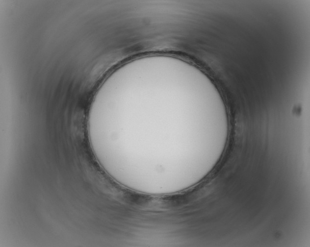 X0000110731265200907022101