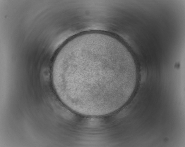 X0000110731266200907022101