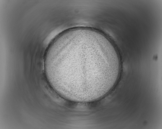 X0000110731267200907022101