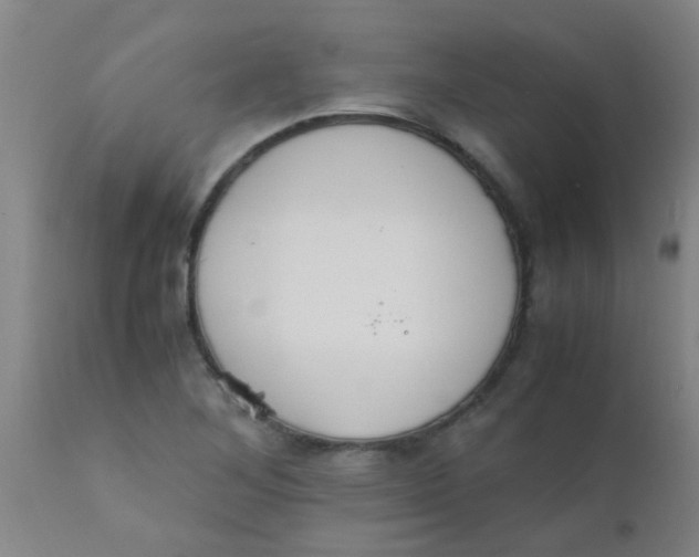 X0000110731268200907022101