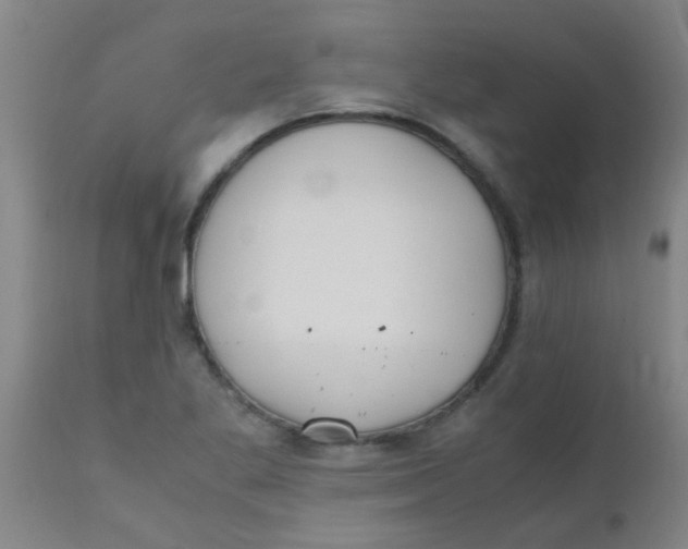 X0000110731269200907022101