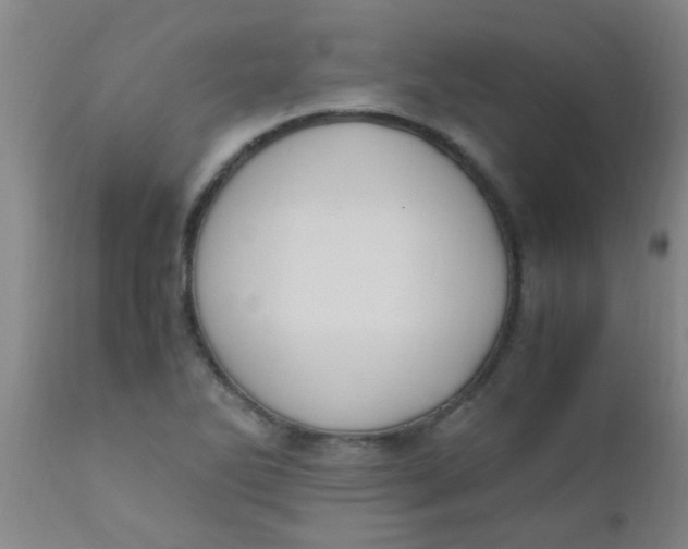 X0000110731270200907022101