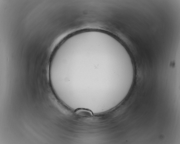 X0000110731272200907022101