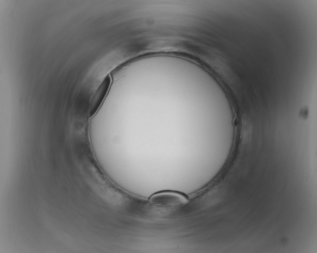 X0000110731273200907022101