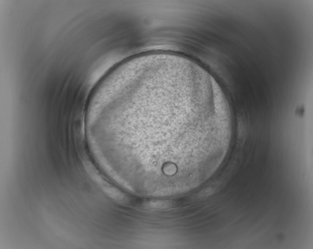 X0000110731274200907022101