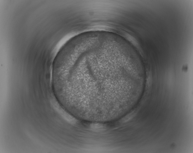 X0000110731275200907022101