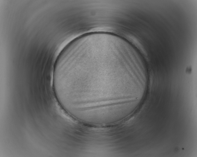 X0000110731276200907022101