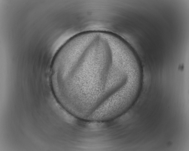 X0000110731277200907022101