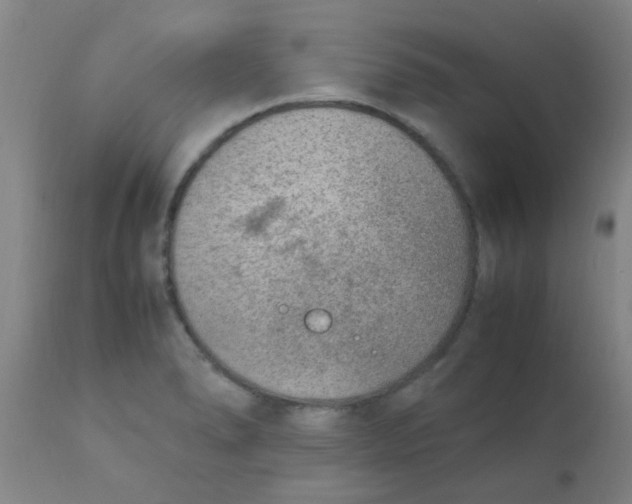 X0000110731278200907022101