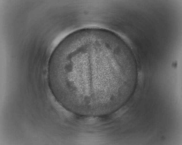 X0000110731279200907022101