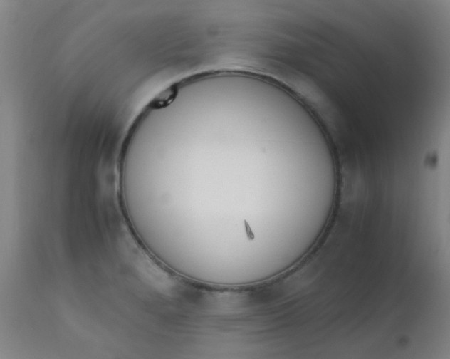 X0000110731280200907022101