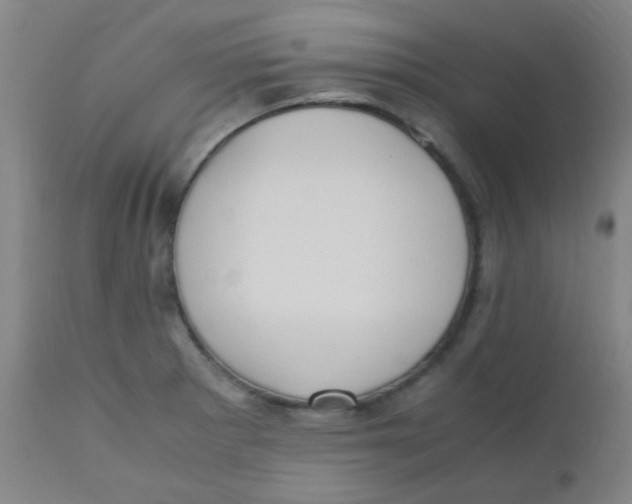 X0000110731281200907022101