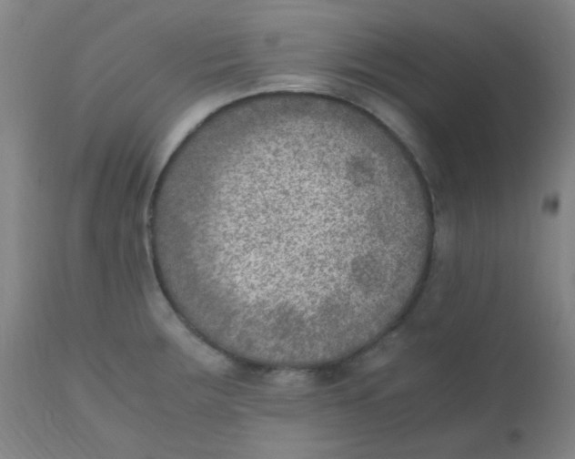 X0000110731283200907022101