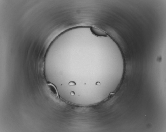 X0000110731284200907022101