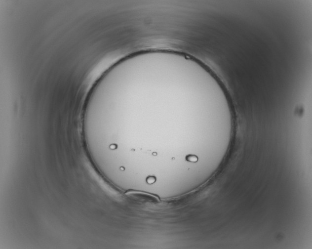 X0000110731285200907022101