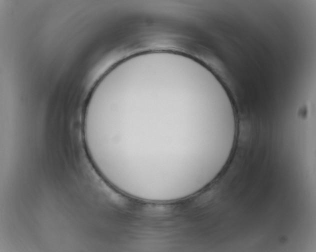 X0000110731286200907022101