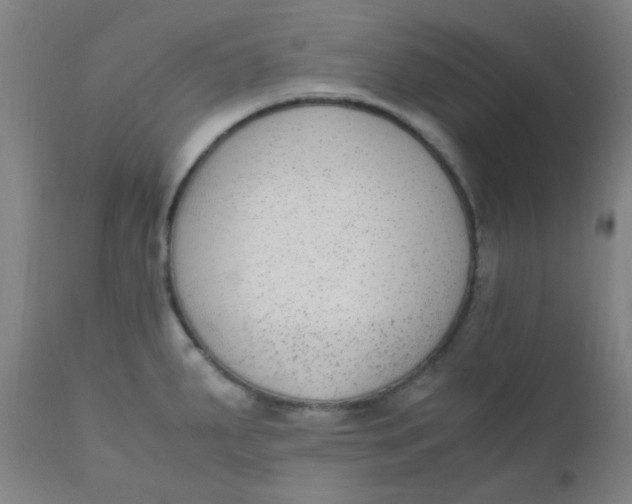 X0000110731287200907022101