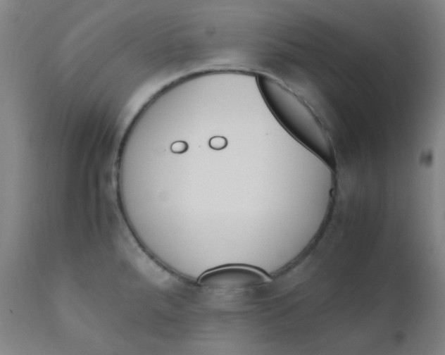 X0000110731288200907022101