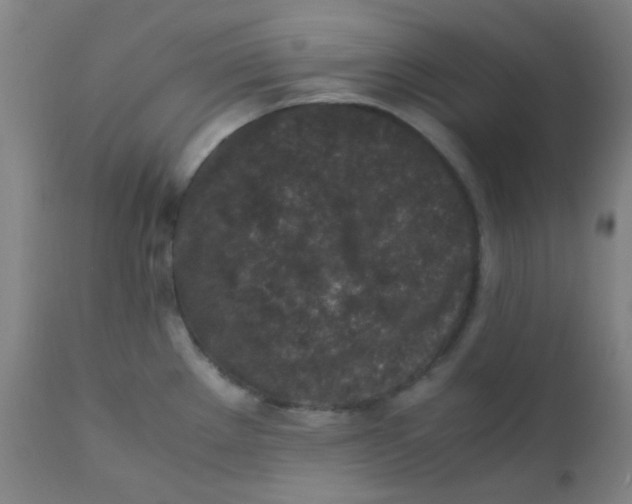 X0000110731289200907022101