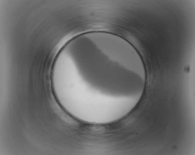 X0000110731291200907022101