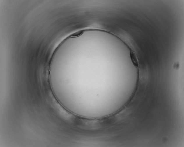 X0000110731292200907022101