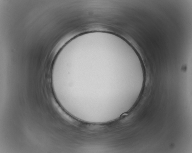 X0000110731293200907022101