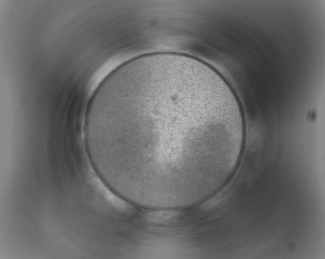 X0000110731294200907022101