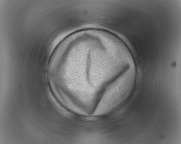 X0000110731295200907022101