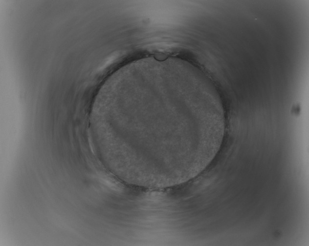 X0000110731297200907022100