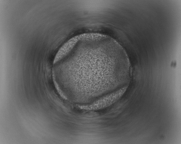 X0000110731298200907022100