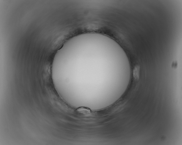 X0000110731299200907022100