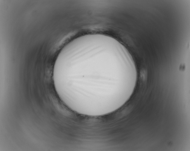 X0000110731300200907022100