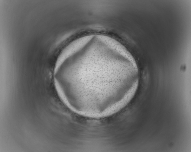 X0000110731302200907022100