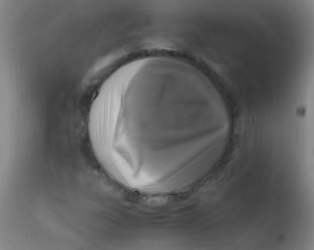 X0000110731303200907022100