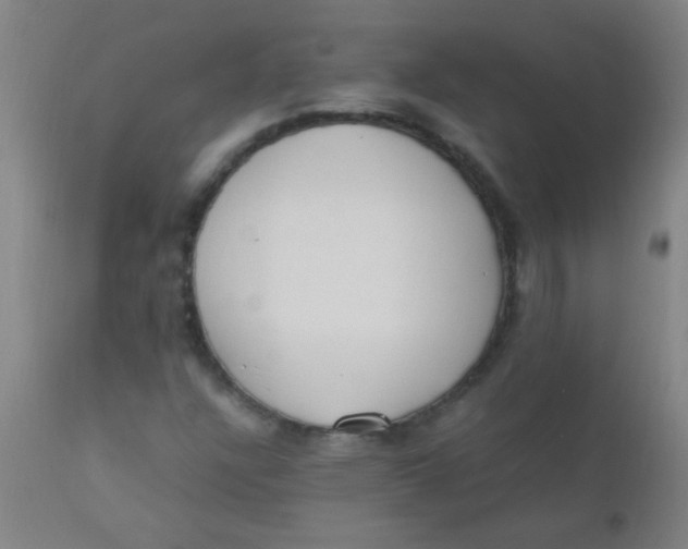 X0000110731304200907022100