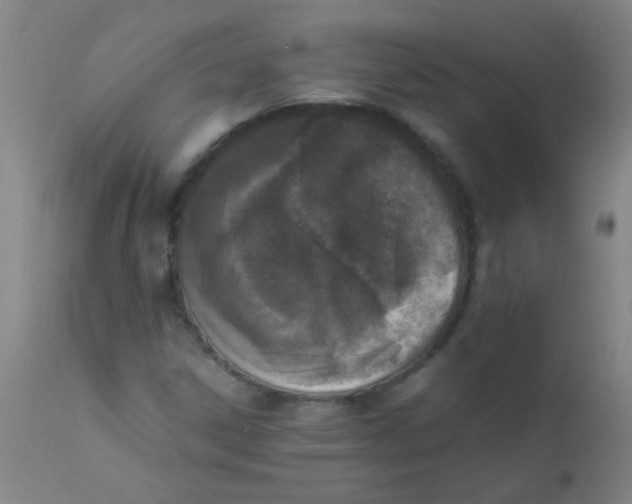 X0000110731306200907022100