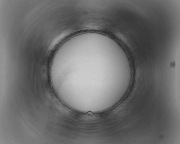 X0000110731307200907022100