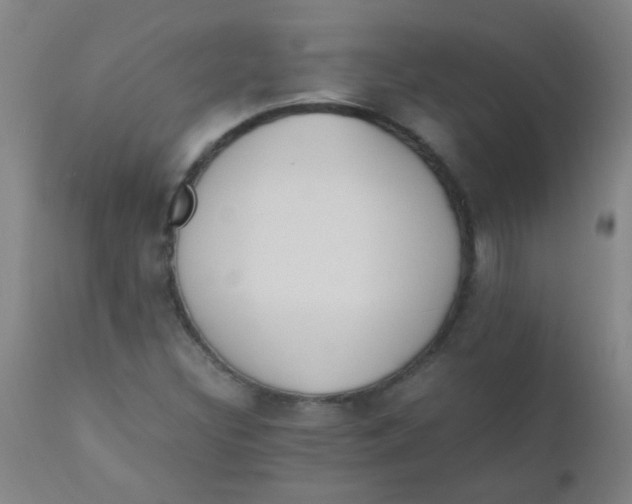 X0000110731308200907022100