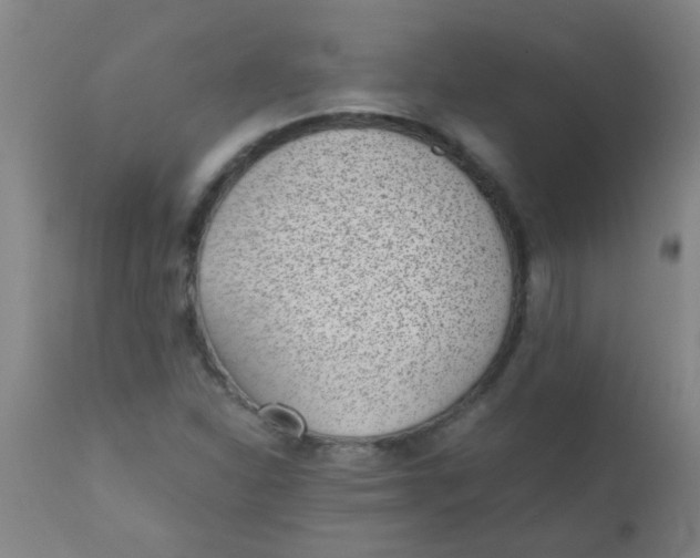 X0000110731310200907022100