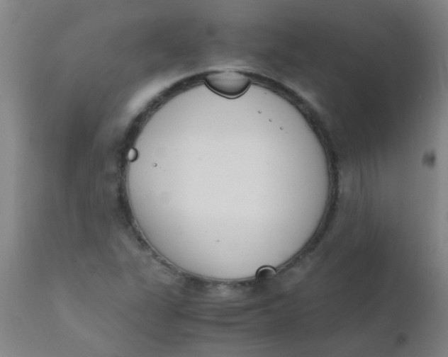 X0000110731311200907022100