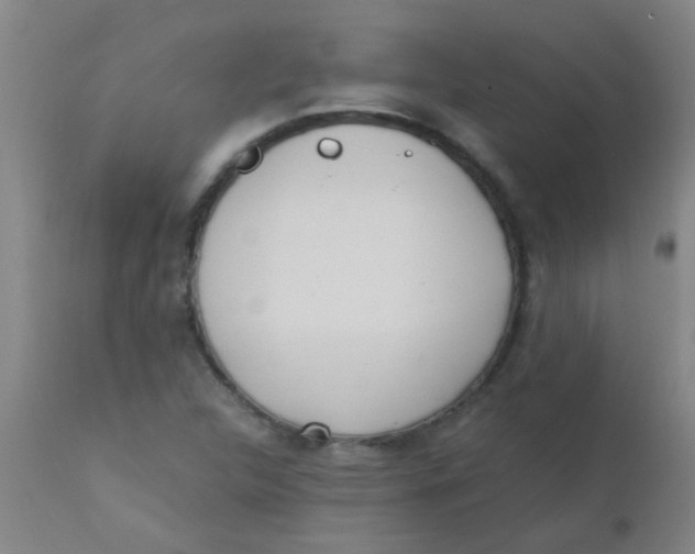 X0000110731312200907022100