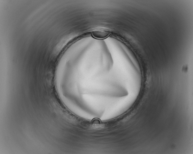 X0000110731313200907022100